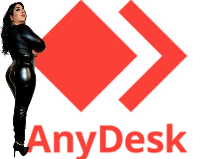 Anydesk Session