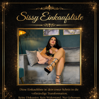 Sissy Einkaufsliste  Der Anfang deiner wahren Verwandlung